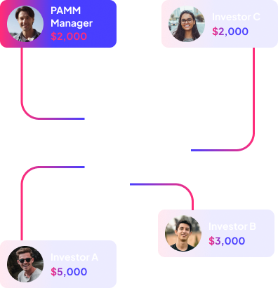 Copy Trading Hero Image